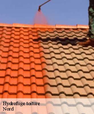 Hydrofuge toiture 59 Nord  Entreprise Léonard