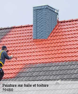 Peinture sur tuile et toiture  la-bassee-59480 Entreprise Léonard