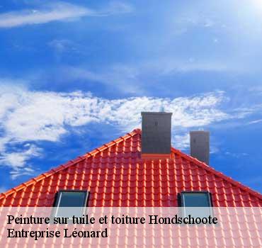 Peinture sur tuile et toiture  hondschoote-59122 Entreprise Léonard
