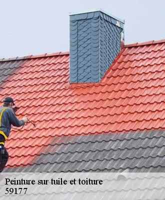Peinture sur tuile et toiture  rainsars-59177 Entreprise Léonard