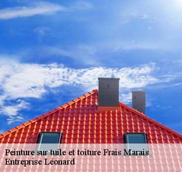 Peinture sur tuile et toiture  frais-marais-59500 Entreprise Léonard