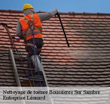Nettoyage de toiture  boussieres-sur-sambre-59330 Entreprise Léonard