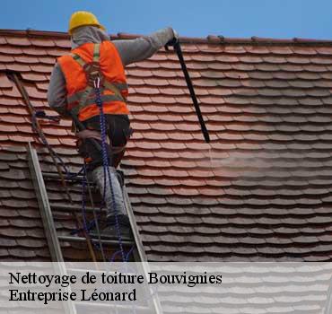 Nettoyage de toiture  bouvignies-59870 Entreprise Léonard