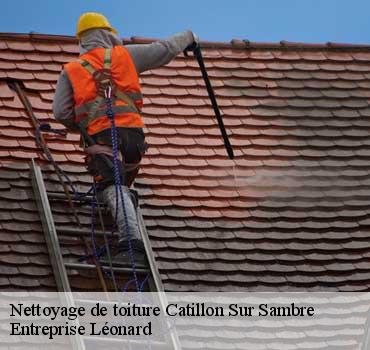 Nettoyage de toiture  catillon-sur-sambre-59360 Entreprise Léonard