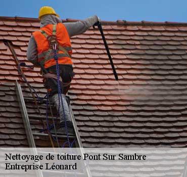 Nettoyage de toiture  pont-sur-sambre-59138 Entreprise Léonard