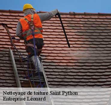 Nettoyage de toiture saint-python-59730 Entreprise Léonard