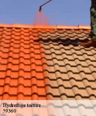 Hydrofuge toiture  catillon-sur-sambre-59360 Entreprise Léonard