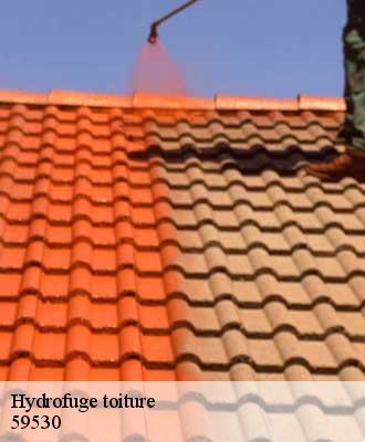 Hydrofuge toiture  englefontaine-59530 Entreprise Léonard