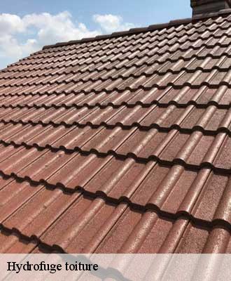 Hydrofuge toiture  mouchin-59310 Entreprise Léonard