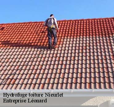 Hydrofuge toiture  nieurlet-59143 Entreprise Léonard