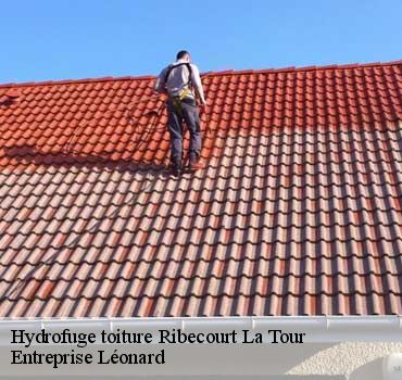 Hydrofuge toiture  ribecourt-la-tour-59159 Entreprise Léonard