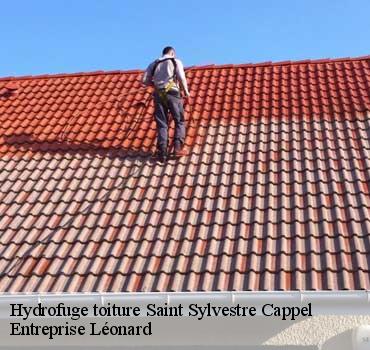 Hydrofuge toiture  saint-sylvestre-cappel-59114 Entreprise Léonard