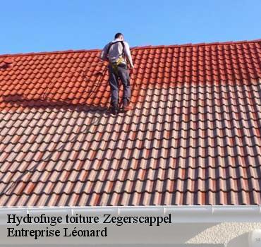 Hydrofuge toiture  zegerscappel-59470 Entreprise Léonard