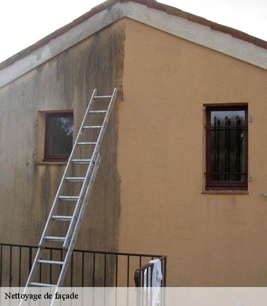 Nettoyage de façade  somain-59490 Entreprise Léonard