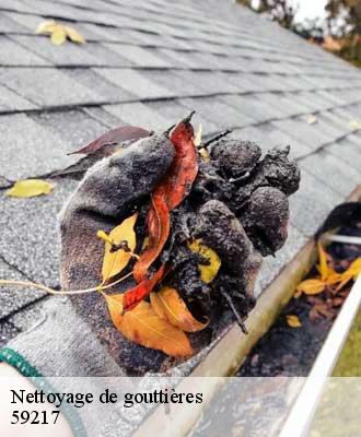 Nettoyage de gouttières  cattenieres-59217 Entreprise Léonard