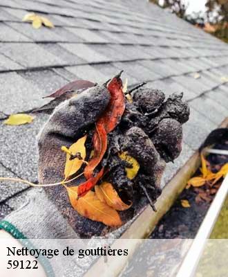 Nettoyage de gouttières  killem-59122 Entreprise Léonard
