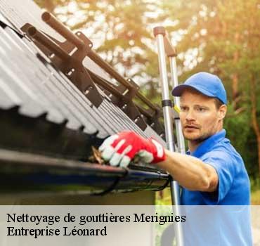 Nettoyage de gouttières  merignies-59710 Entreprise Léonard