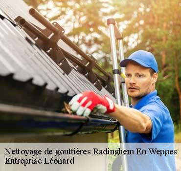 Nettoyage de gouttières  radinghem-en-weppes-59320 Entreprise Léonard