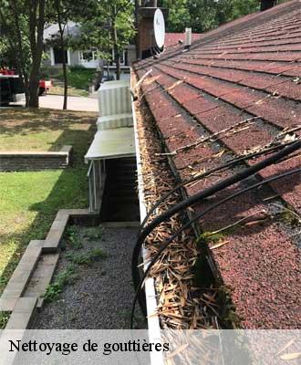 Nettoyage de gouttières  saint-hilaire-les-cambrai-59292 Entreprise Léonard