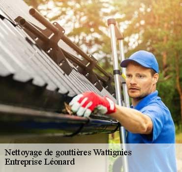 Nettoyage de gouttières  wattignies-59139 Entreprise Léonard