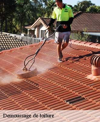 Demoussage de toiture  pont-sur-sambre-59138 Entreprise Léonard