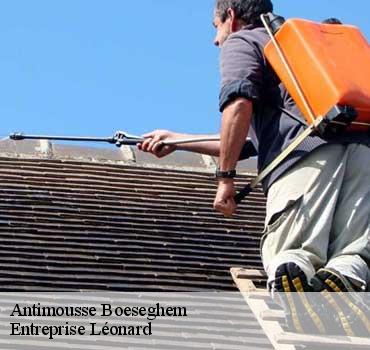 Antimousse  boeseghem-59189 Entreprise Léonard