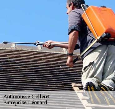 Antimousse  colleret-59680 Entreprise Léonard