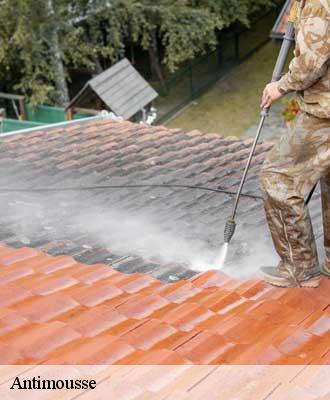 Antimousse  dechy-59187 Entreprise Léonard