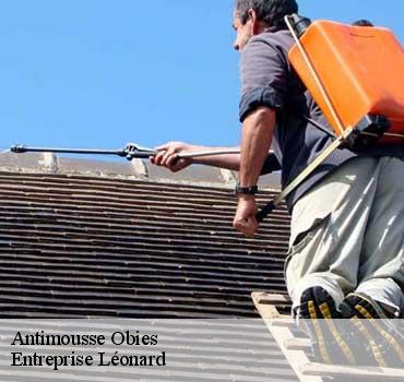 Antimousse  obies-59570 Entreprise Léonard