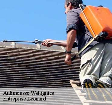 Antimousse  wattignies-59139 Entreprise Léonard