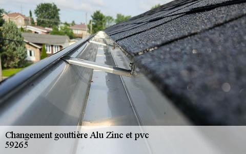 Changement gouttière Alu Zinc et pvc  aubigny-au-bac-59265 Entreprise Léonard