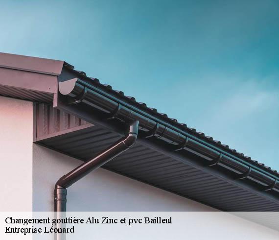 Changement gouttière Alu Zinc et pvc  bailleul-59270 Entreprise Léonard