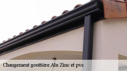 Changement gouttière Alu Zinc et pvc  eclaibes-59330 Entreprise Léonard