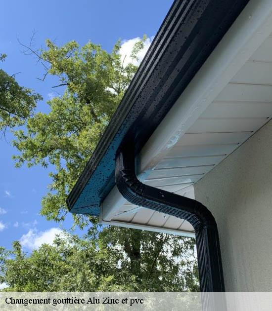 Changement gouttière Alu Zinc et pvc  querenaing-59269 Entreprise Léonard