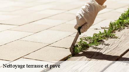 Nettoyage terrasse et pavé  nieppe-59850 Entreprise Léonard