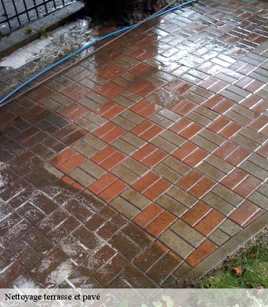 Nettoyage terrasse et pavé  sainte-marie-cappel-59670 Entreprise Léonard