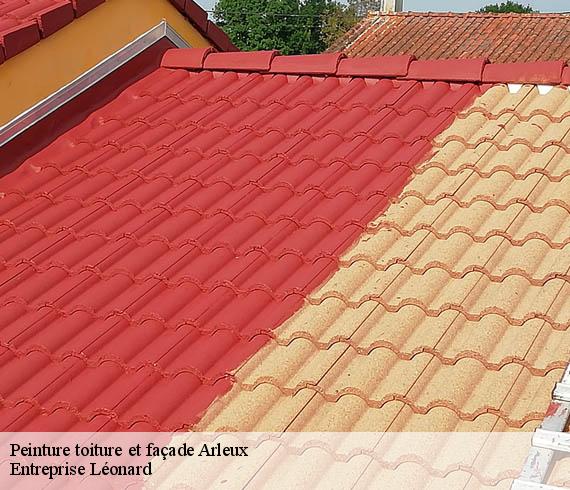 Peinture toiture et façade  arleux-59151 Entreprise Léonard