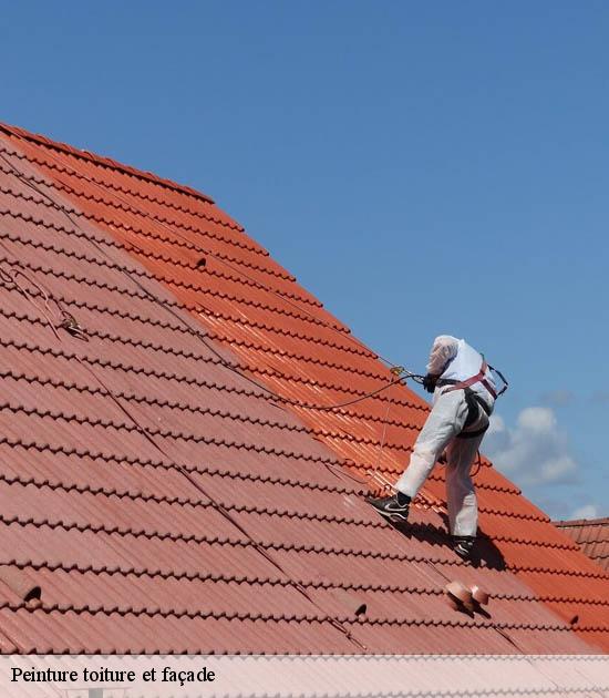 Peinture toiture et façade  frasnoy-59530 Entreprise Léonard