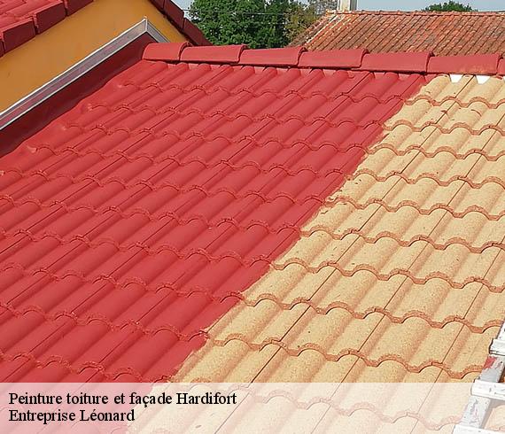 Peinture toiture et façade  hardifort-59670 Entreprise Léonard
