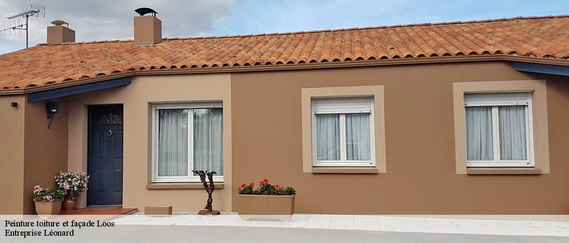 Peinture toiture et façade  loos-59120 Entreprise Léonard