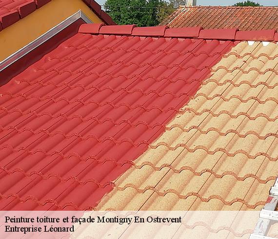 Peinture toiture et façade  montigny-en-ostrevent-59182 Entreprise Léonard