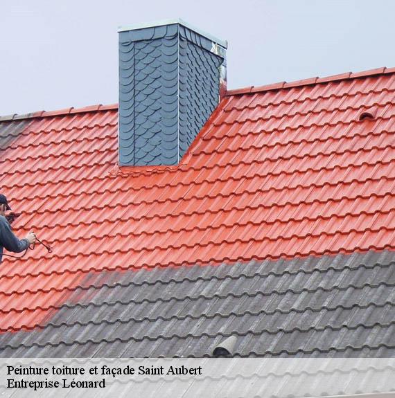 Peinture toiture et façade  saint-aubert-59188 Entreprise Léonard