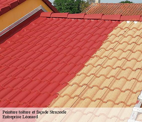 Peinture toiture et façade  strazeele-59270 Entreprise Léonard