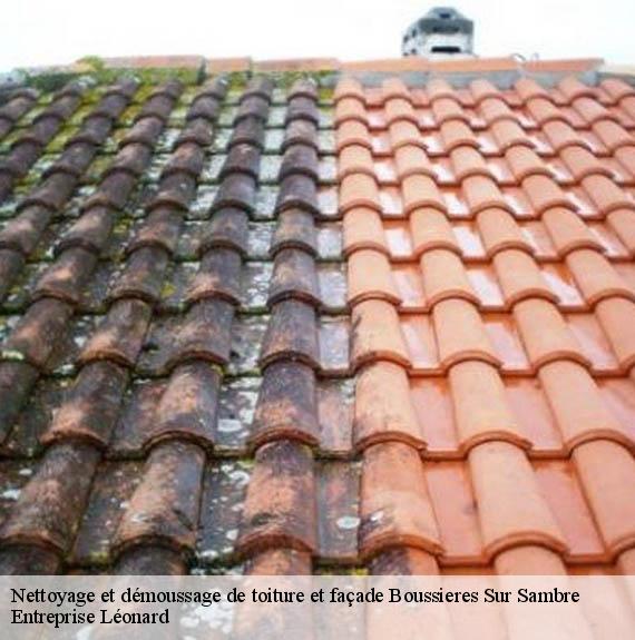 Nettoyage et démoussage de toiture et façade  boussieres-sur-sambre-59330 Entreprise Léonard