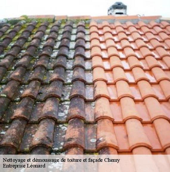 Nettoyage et démoussage de toiture et façade  chemy-59147 Entreprise Léonard