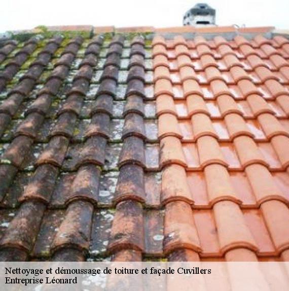 Nettoyage et démoussage de toiture et façade  cuvillers-59554 Entreprise Léonard