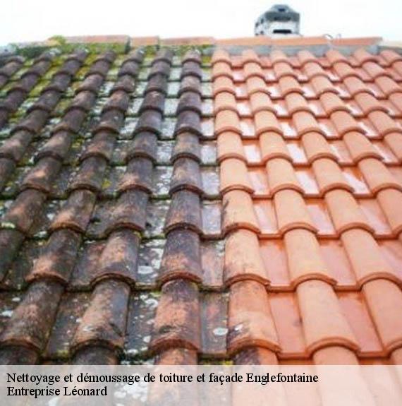 Nettoyage et démoussage de toiture et façade  englefontaine-59530 Entreprise Léonard