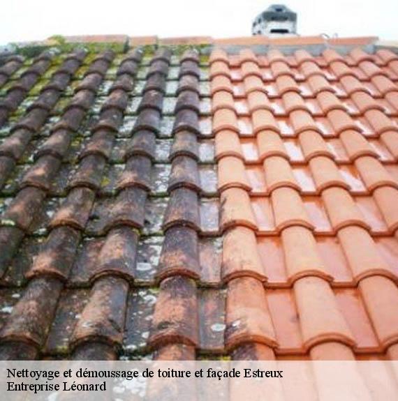 Nettoyage et démoussage de toiture et façade  estreux-59990 Entreprise Léonard
