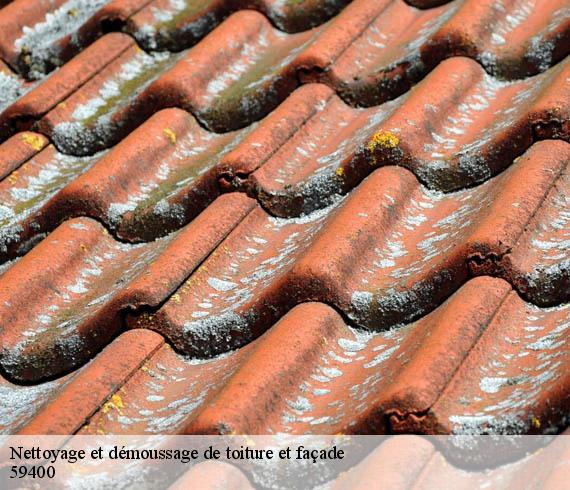 Nettoyage et démoussage de toiture et façade  eswars-59400 Entreprise Léonard