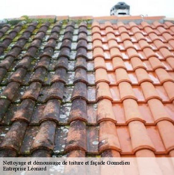Nettoyage et démoussage de toiture et façade  gonnelieu-59231 Entreprise Léonard